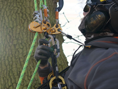 Placeholder Square 1