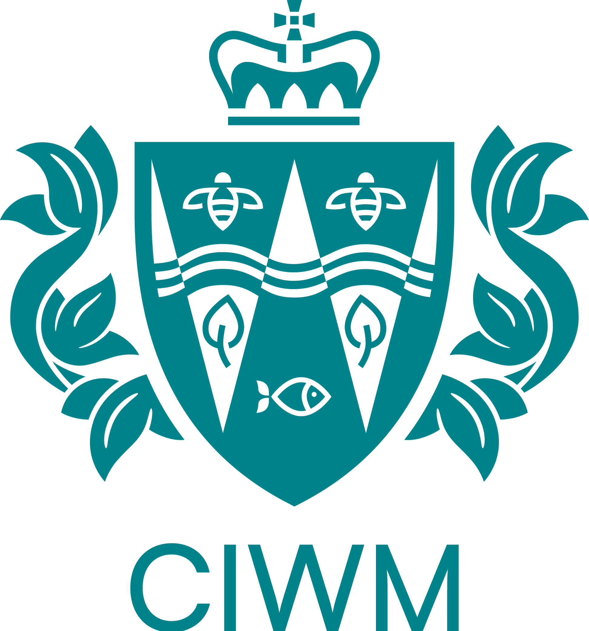 Ciwm